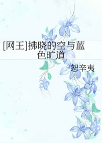 [����] �����Ŀ�����ɫ����