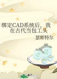 ��CADϵͳ�����ڹŴ�������ͷ