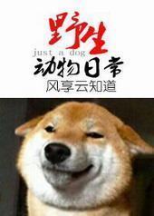 Ұ��������ճ�